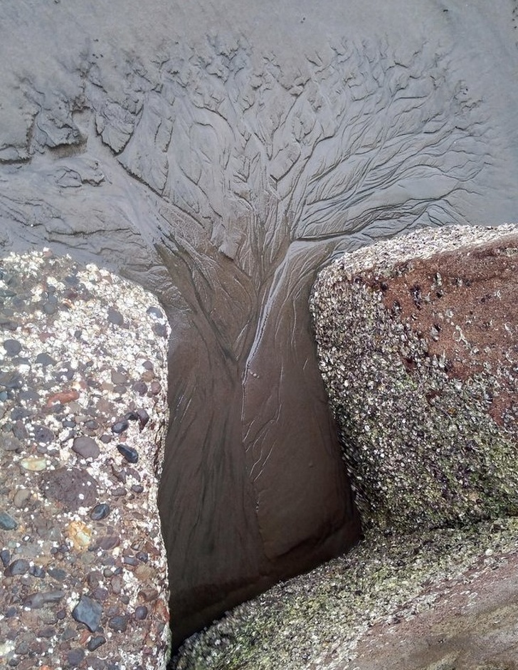 erózió esik egy pózba